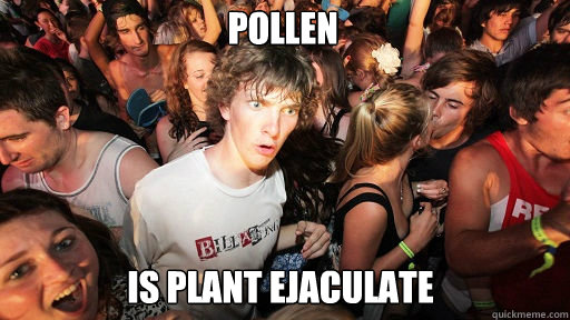 POLLEN IS PLANT EJACULATE - POLLEN IS PLANT EJACULATE  Sudden Clarity Clarence