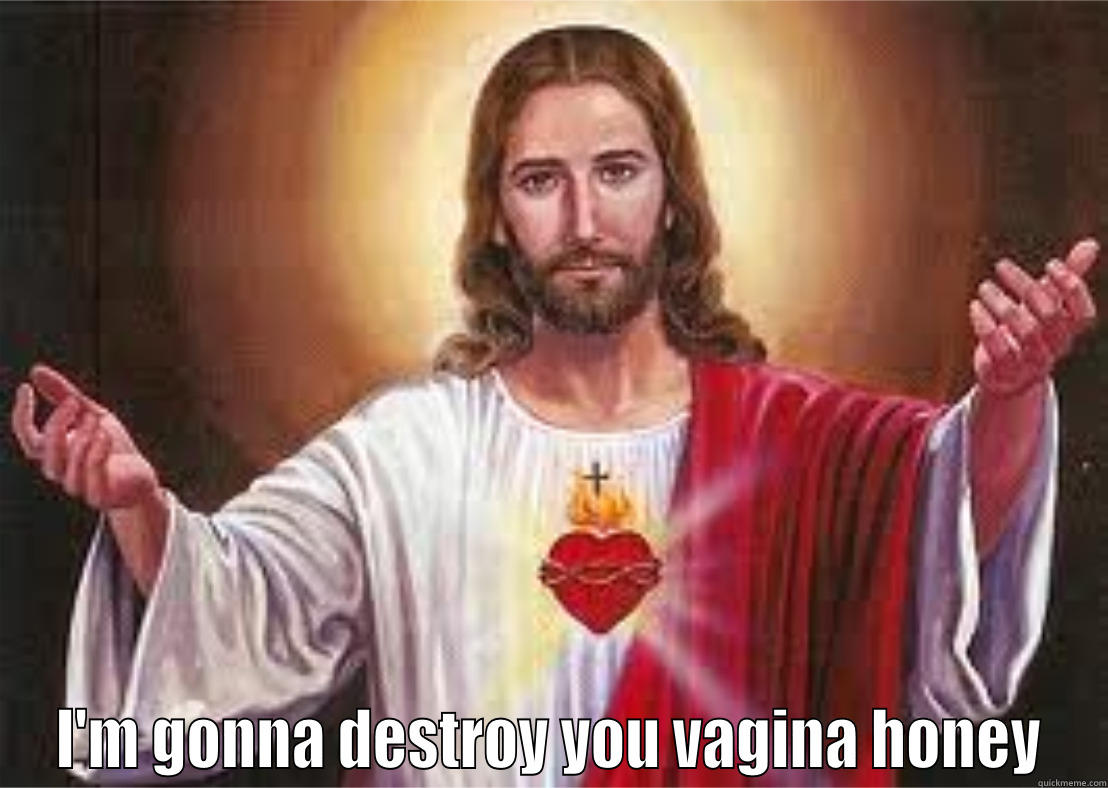  I'M GONNA DESTROY YOU VAGINA HONEY Misc