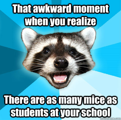 That awkward moment when you realize There are as many mice as students at your school  Lame Pun Coon