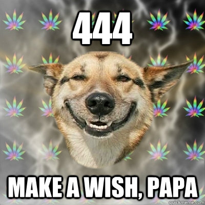 444 make a wish, papa  Stoner Dog