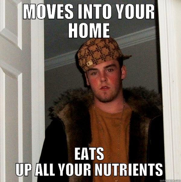 Moocher for Biology - MOVES INTO YOUR HOME EATS UP ALL YOUR NUTRIENTS Scumbag Steve