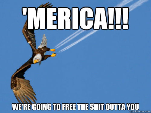 'merica!!! We're going to free the shit outta you - 'merica!!! We're going to free the shit outta you  American Eagle Jet
