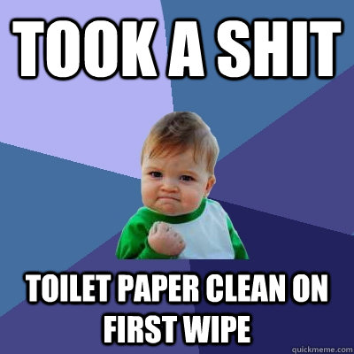 Took a shit toilet paper clean on first wipe  Success Kid