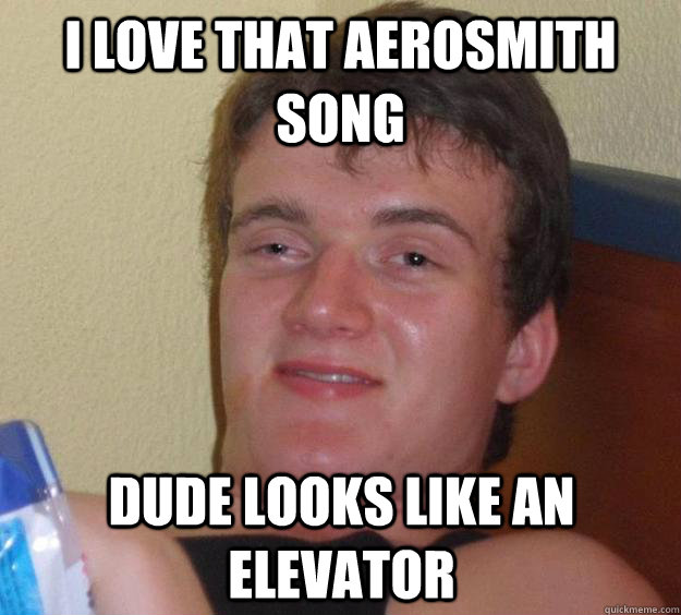 i love that aerosmith song dude looks like an elevator  10 Guy