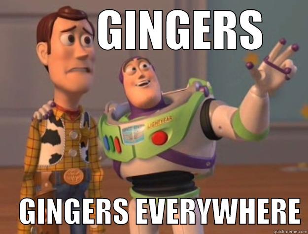        GINGERS     GINGERS EVERYWHERE Toy Story