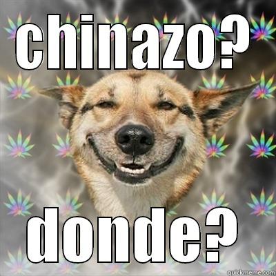 CHINAZO? DONDE? Stoner Dog