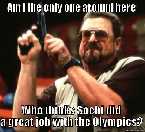 Regarding the Olympics this year - AM I THE ONLY ONE AROUND HERE WHO THINKS SOCHI DID A GREAT JOB WITH THE OLYMPICS? Am I The Only One Around Here