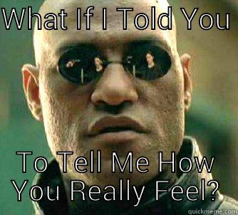 WHAT IF I TOLD YOU  TO TELL ME HOW YOU REALLY FEEL? Matrix Morpheus