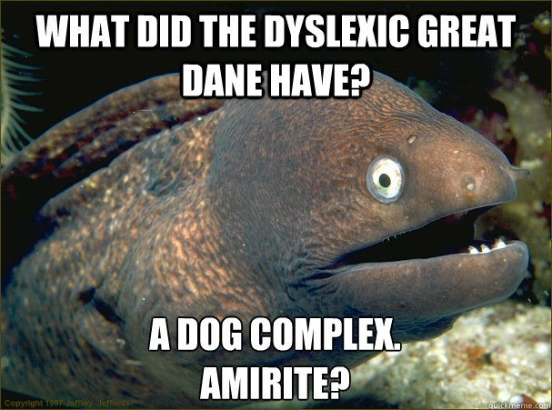 What did the dyslexic great dane have? A dog complex. 
amirite? - What did the dyslexic great dane have? A dog complex. 
amirite?  Bad Joke Eel