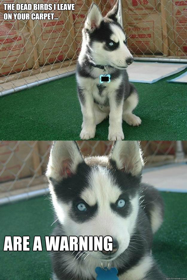 The dead birds i leave 
on your carpet... are a warning  Insanity puppy