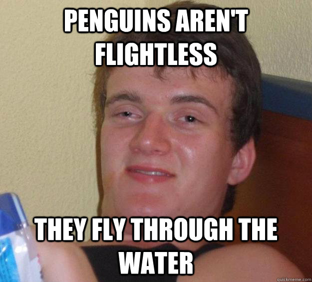 penguins aren't flightless they fly through the water  - penguins aren't flightless they fly through the water   10 Guy