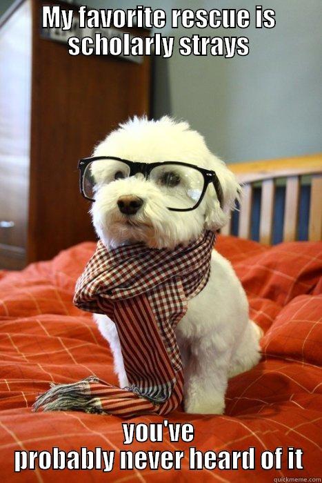 MY FAVORITE RESCUE IS SCHOLARLY STRAYS YOU'VE PROBABLY NEVER HEARD OF IT Hipster Dog