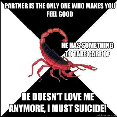 Partner is the only one who makes you feel good

 HE DOESN'T LOVE ME ANYMORE, I MUST SUICIDE! he has something to take care of  Borderline scorpion