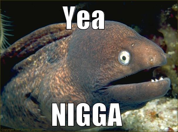 YEA  NIGGA Bad Joke Eel