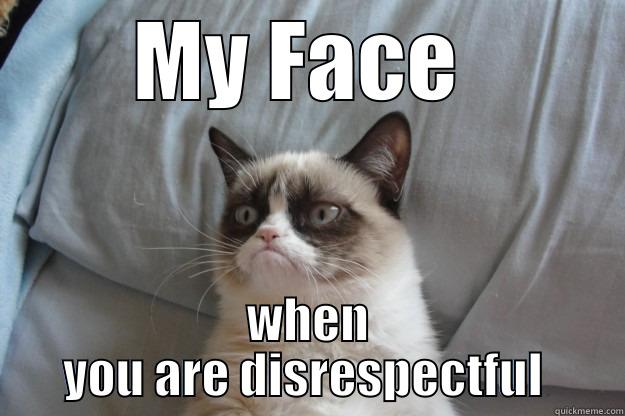 MY FACE  WHEN YOU ARE DISRESPECTFUL  Grumpy Cat