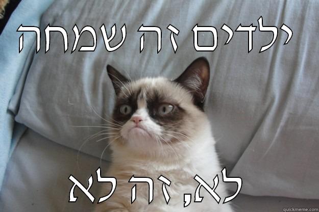 ילדים זה שמחה לא, זה לא Grumpy Cat