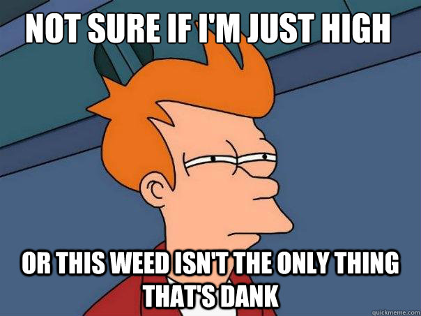 Not sure if I'm just high or this weed isn't the only thing that's dank  Futurama Fry