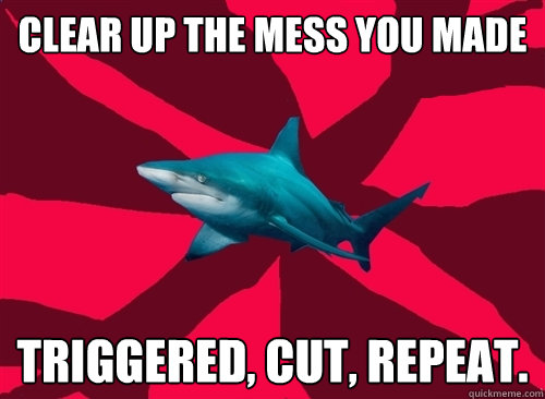 clear up the mess you made  triggered, cut, repeat.  Self-Injury Shark