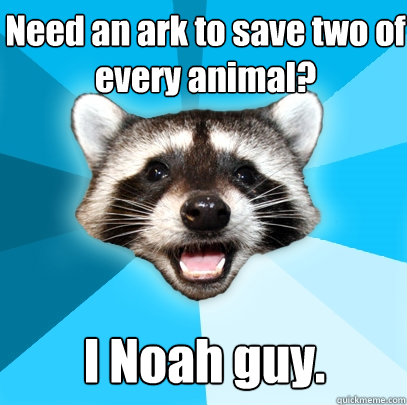 Need an ark to save two of every animal? I Noah guy.  Lame Pun Coon