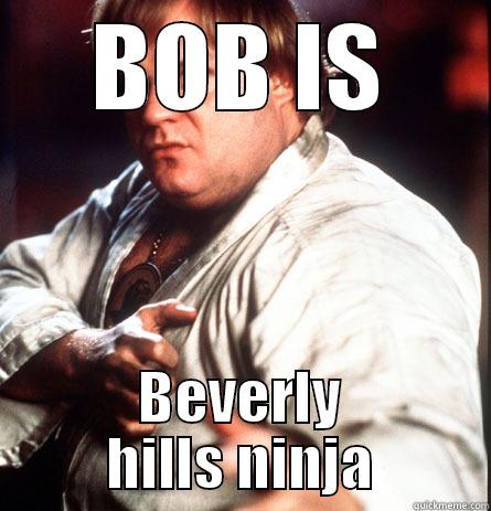 bob is a ninja - BOB IS BEVERLY HILLS NINJA Misc