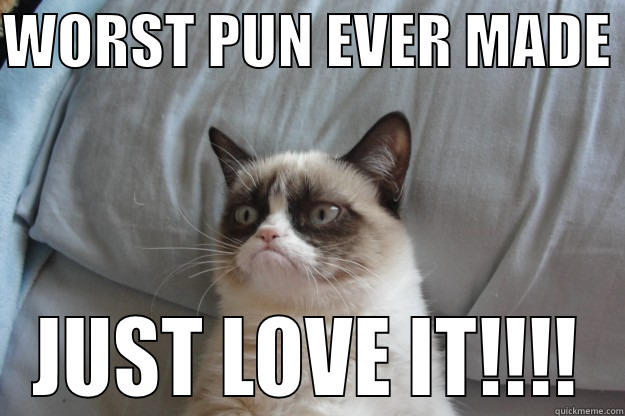 WORST PUN EVER MADE  JUST LOVE IT!!!! Grumpy Cat