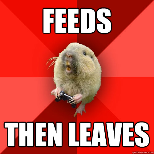 Feeds Then leaves - Feeds Then leaves  Gaming Gopher