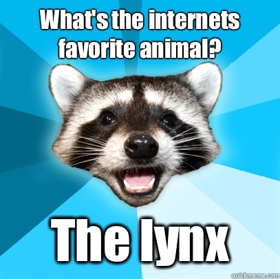 What's the internets favorite animal? The lynx  - What's the internets favorite animal? The lynx   Lame Pun Coon