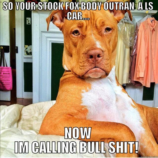 DOG MEME  - SO YOUR STOCK FOX BODY OUTRAN  A LS CAR.... NOW IM CALLING BULL SHIT!  Misc