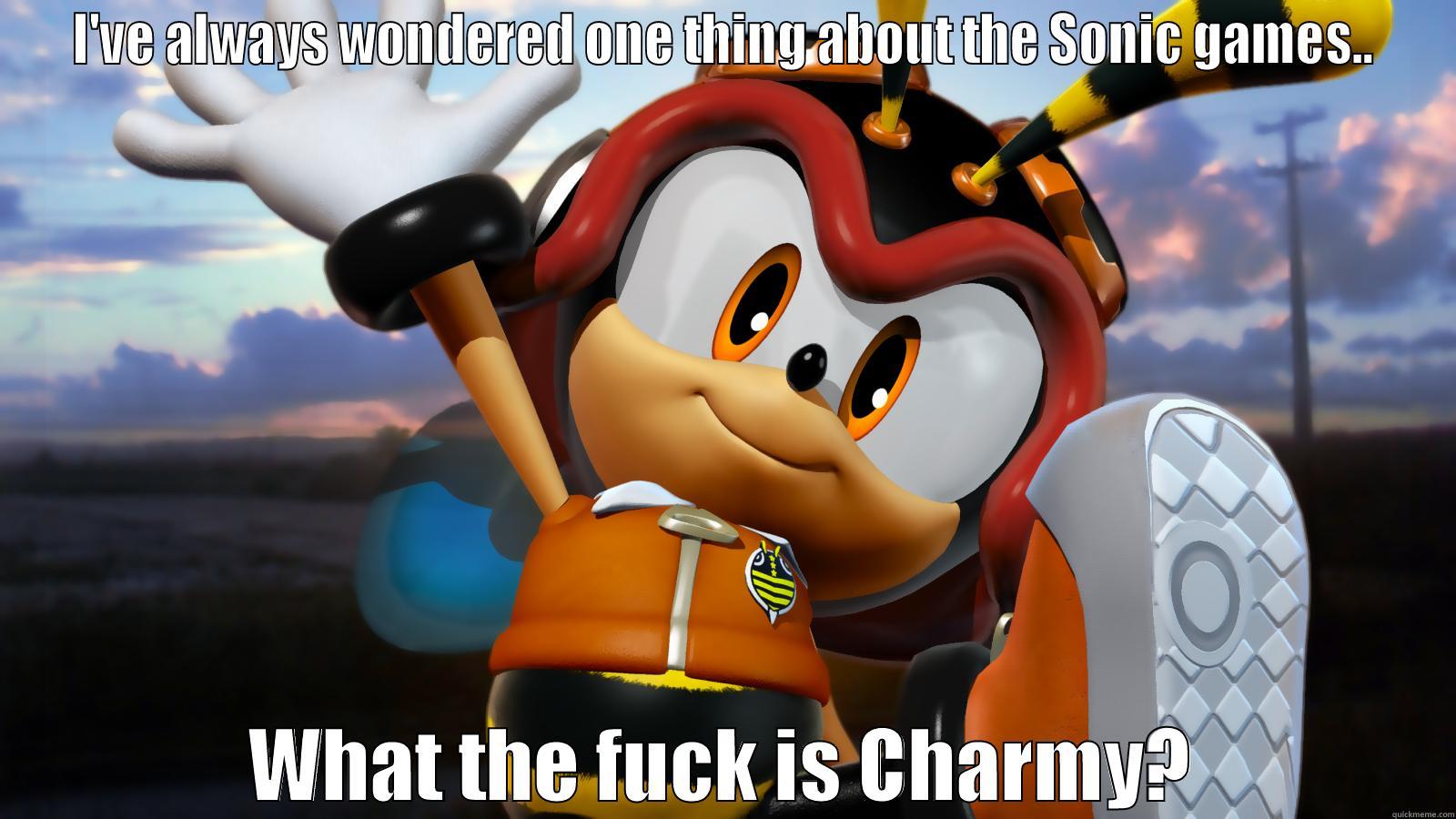 Charmy.. what is he?? - I'VE ALWAYS WONDERED ONE THING ABOUT THE SONIC GAMES.. WHAT THE FUCK IS CHARMY? Misc