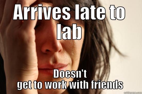 ARRIVES LATE TO LAB DOESN'T GET TO WORK WITH FRIENDS First World Problems