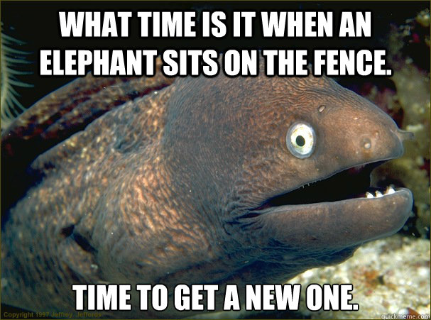 What time is it when an elephant sits on the fence. Time to get a new one.  Bad Joke Eel