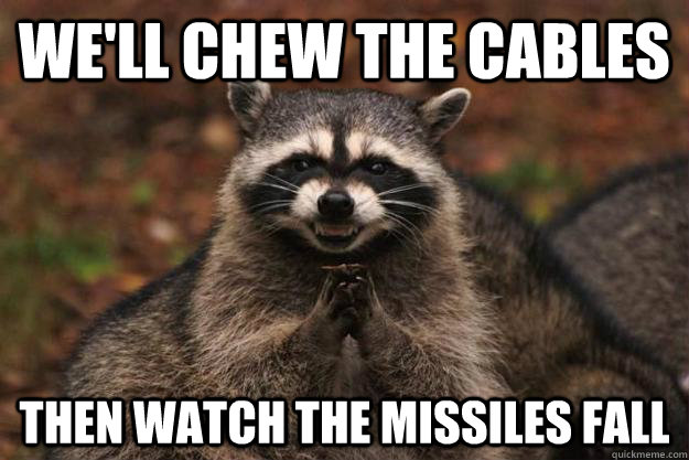 We'll chew the cables then watch the missiles fall  Evil Plotting Raccoon