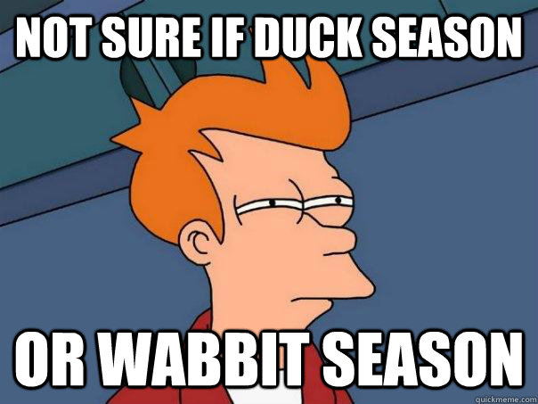 Not sure if Duck season Or Wabbit Season - Not sure if Duck season Or Wabbit Season  Futurama Fry