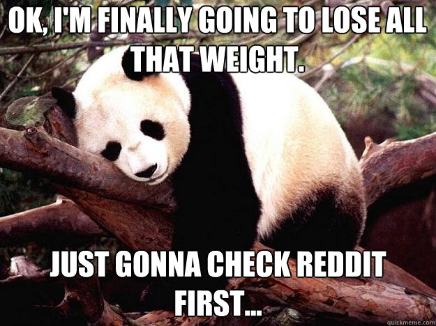 ok, i'm finally going to lose all that weight. just gonna check reddit first...  Procrastination Panda