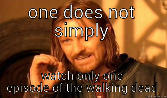 just saying - ONE DOES NOT SIMPLY WATCH ONLY ONE EPISODE OF THE WALKING DEAD Boromir