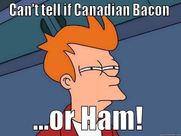 CAN'T TELL IF CANADIAN BACON ...OR HAM! Futurama Fry