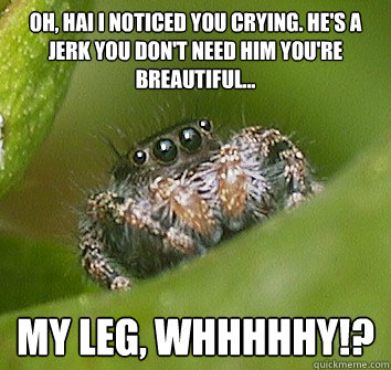 Oh, hai I noticed you crying. He's a jerk you don't need him you're breautiful... MY LEG, whhhhhy!?  Misunderstood Spider