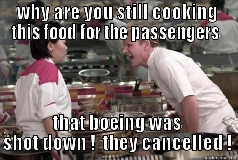 WHY ARE YOU STILL COOKING THIS FOOD FOR THE PASSENGERS  THAT BOEING WAS SHOT DOWN !  THEY CANCELLED ! Misc