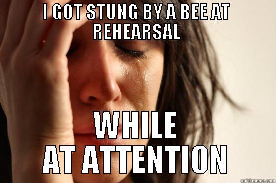 I GOT STUNG BY A BEE AT REHEARSAL WHILE AT ATTENTION First World Problems