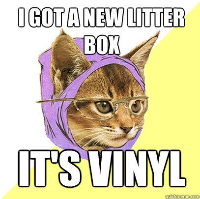 I got a new litter box it's vinyl  Hipster Kitty