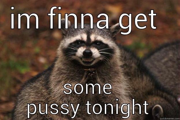 IM FINNA GET  SOME PUSSY TONIGHT Evil Plotting Raccoon