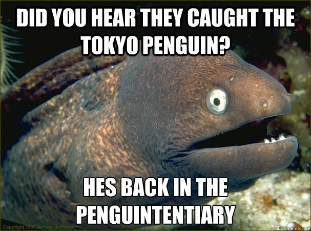 did you hear they caught the tokyo penguin? hes back in the penguintentiary - did you hear they caught the tokyo penguin? hes back in the penguintentiary  Bad Joke Eel