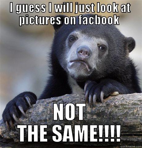 Monday after missing Howard Homecoming  - I GUESS I WILL JUST LOOK AT PICTURES ON FACBOOK  NOT THE SAME!!!! Confession Bear