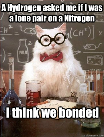 A Hydrogen asked me if I was a lone pair on a Nitrogen I think we bonded  Chemistry Cat