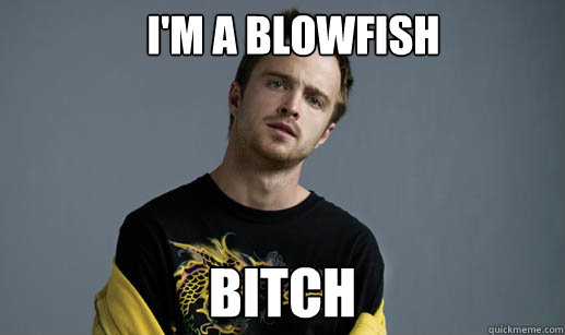 I'm a blowfish bitch - I'm a blowfish bitch  Jesse Pinkman Loves the word Bitch