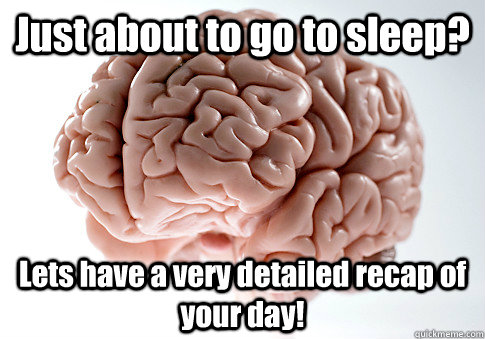 Just about to go to sleep?  Lets have a very detailed recap of your day!   Scumbag Brain