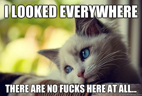 I looked everywhere There are no fucks here at all...  First World Problems Cat