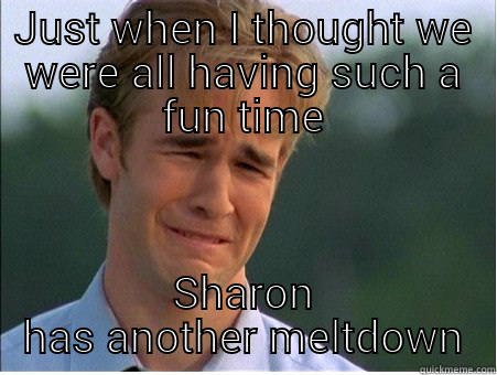 JUST WHEN I THOUGHT WE WERE ALL HAVING SUCH A FUN TIME SHARON HAS ANOTHER MELTDOWN 1990s Problems