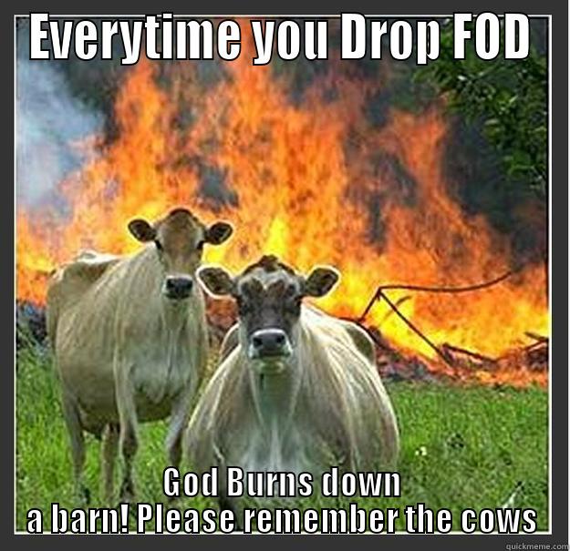 FOD Cow - EVERYTIME YOU DROP FOD GOD BURNS DOWN A BARN! PLEASE REMEMBER THE COWS Evil cows