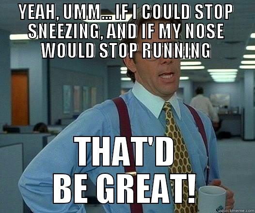 YEAH, UMM... IF I COULD STOP SNEEZING, AND IF MY NOSE WOULD STOP RUNNING THAT'D BE GREAT! Office Space Lumbergh